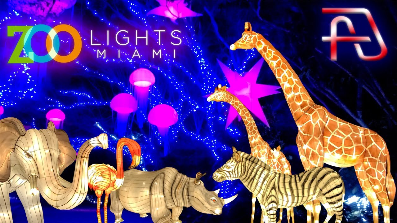 Zoo Lights Miami 2020 at ZOO MIAMI - Full Tour