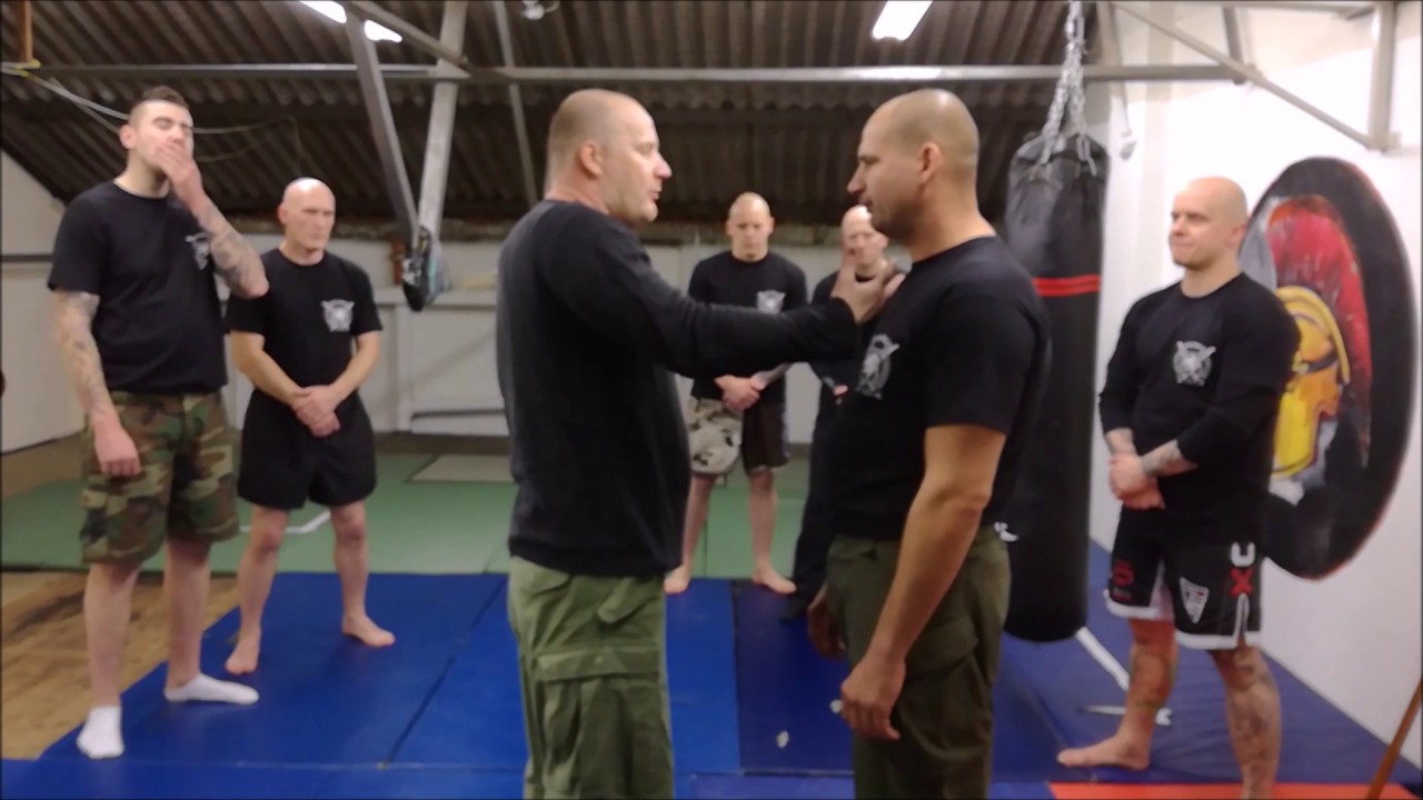 Hand2Hand by Andrej Karafa/ Gym Systema Orlova (CZ)