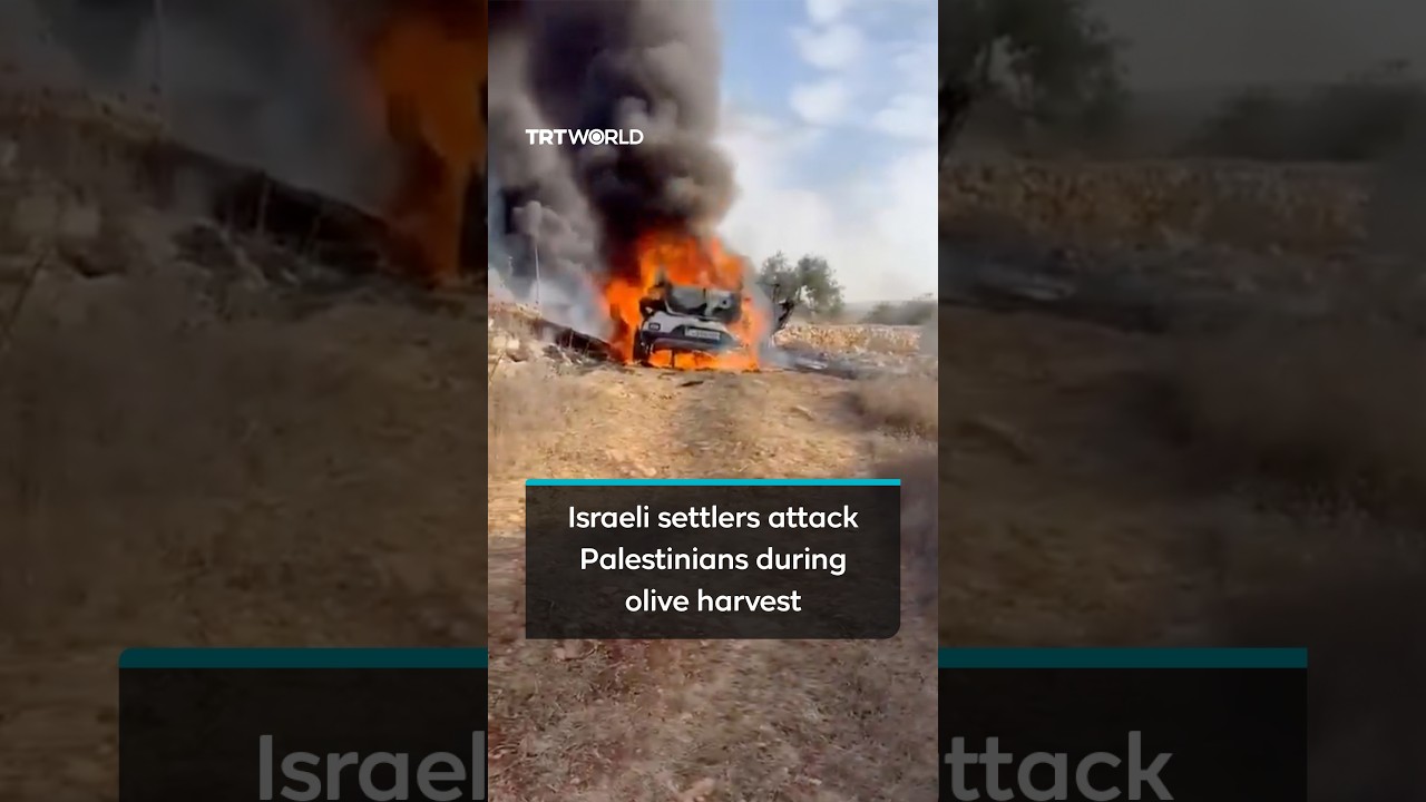 Illegal Israeli settlers attack Palestinians during olive harvest in West Bank