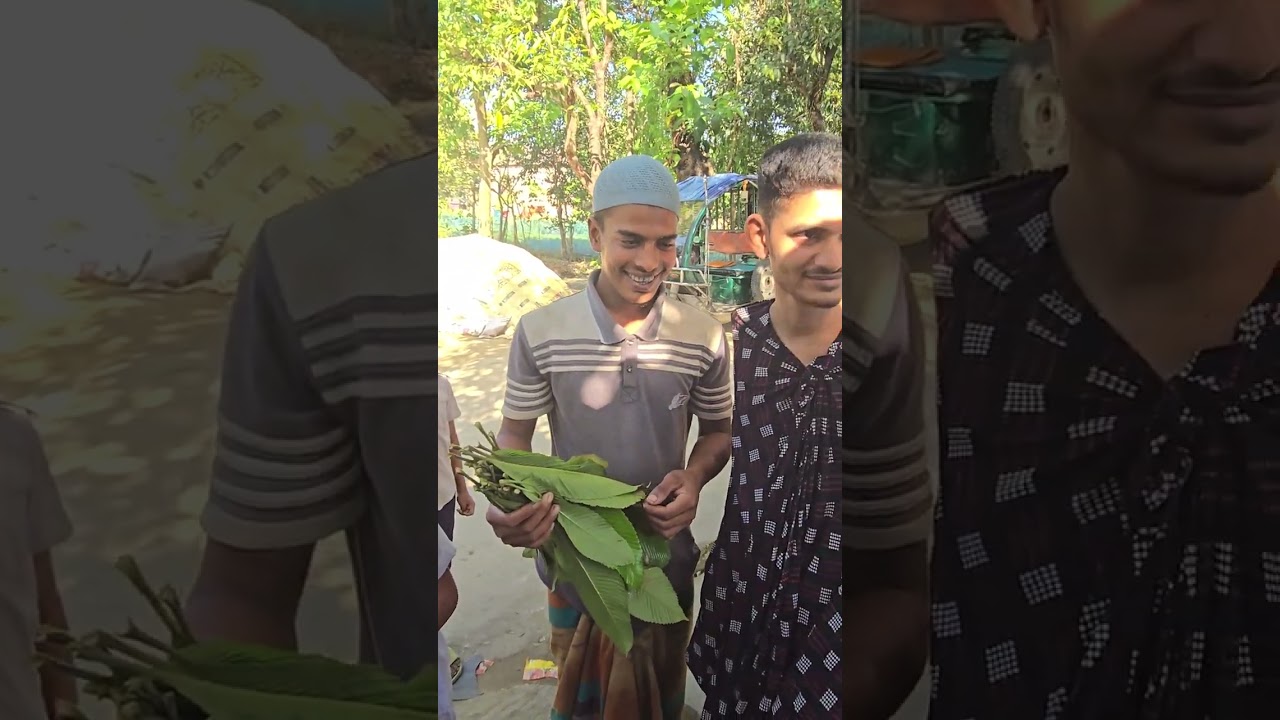 আনোয়ার মামা তোতা ভাইয়ের প্রতি খুব গরম।