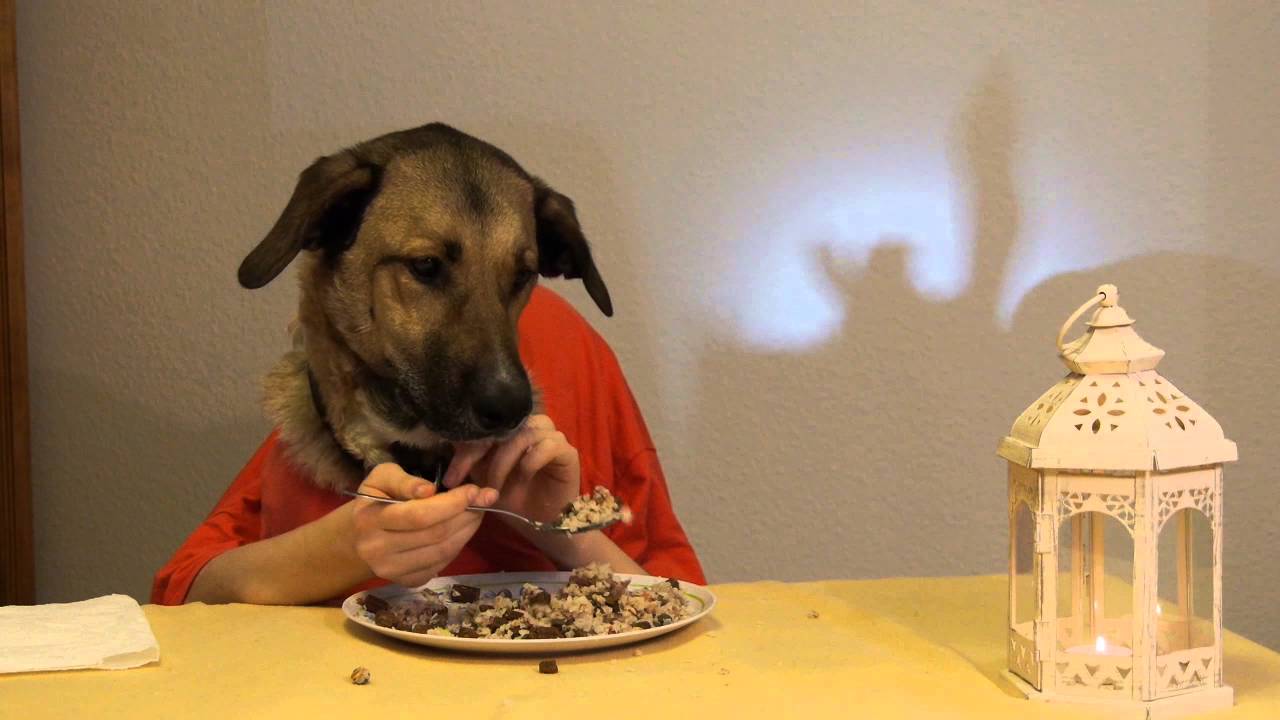 Dinner for Dog | +Outtakes