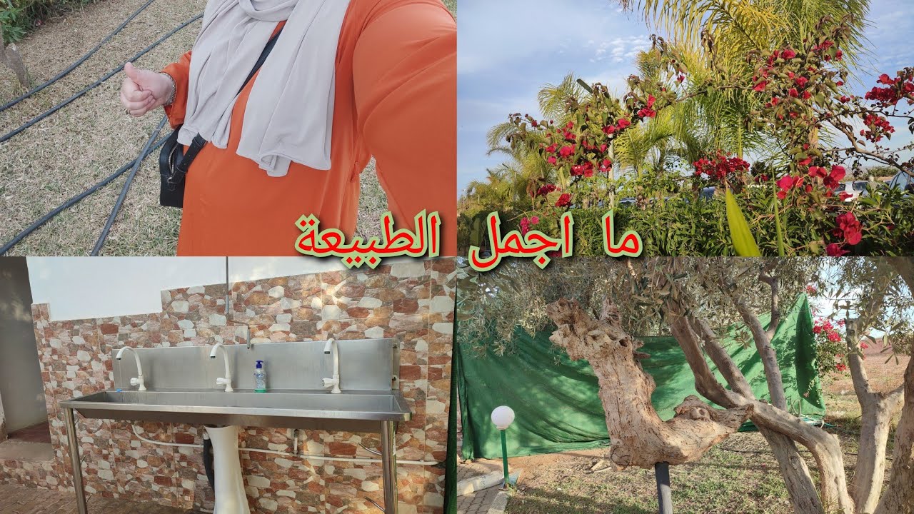 اليوم غنشارك معكم فضاء ام الربيع 🤩😍🥰