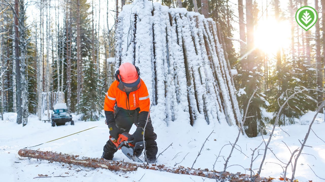 Sadan motin moottorikelkkasavotta | Metsälehti