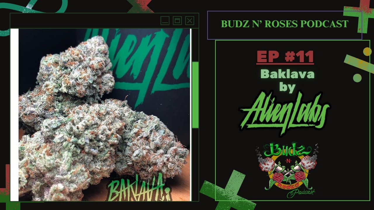 Ep.11 BakLava By Alien Labs