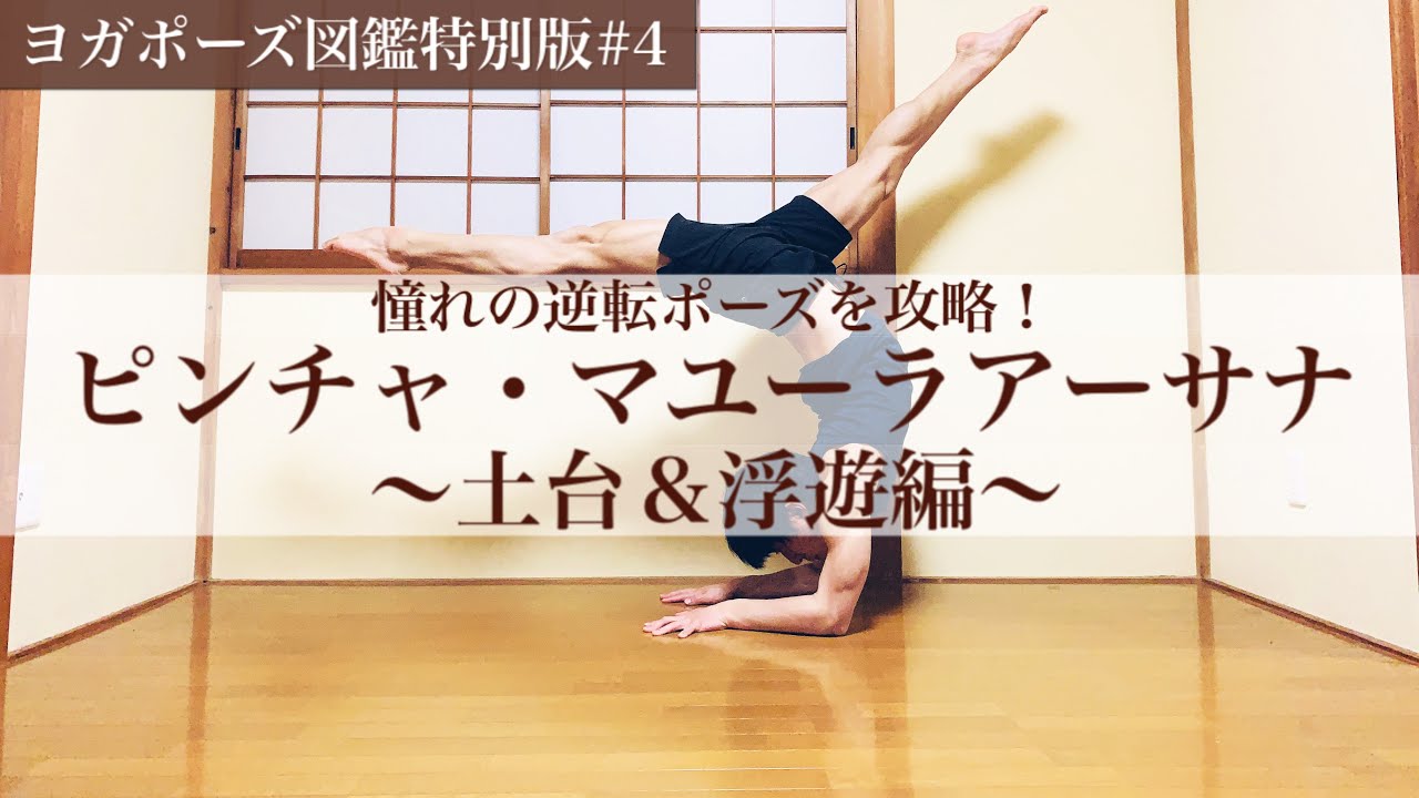 【憧れのピンチャ・マユーラアーサナ攻略】足を浮かせるには〇〇が大事