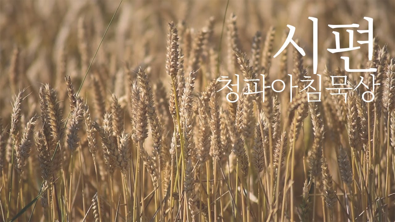 231229(금) 시편 70편