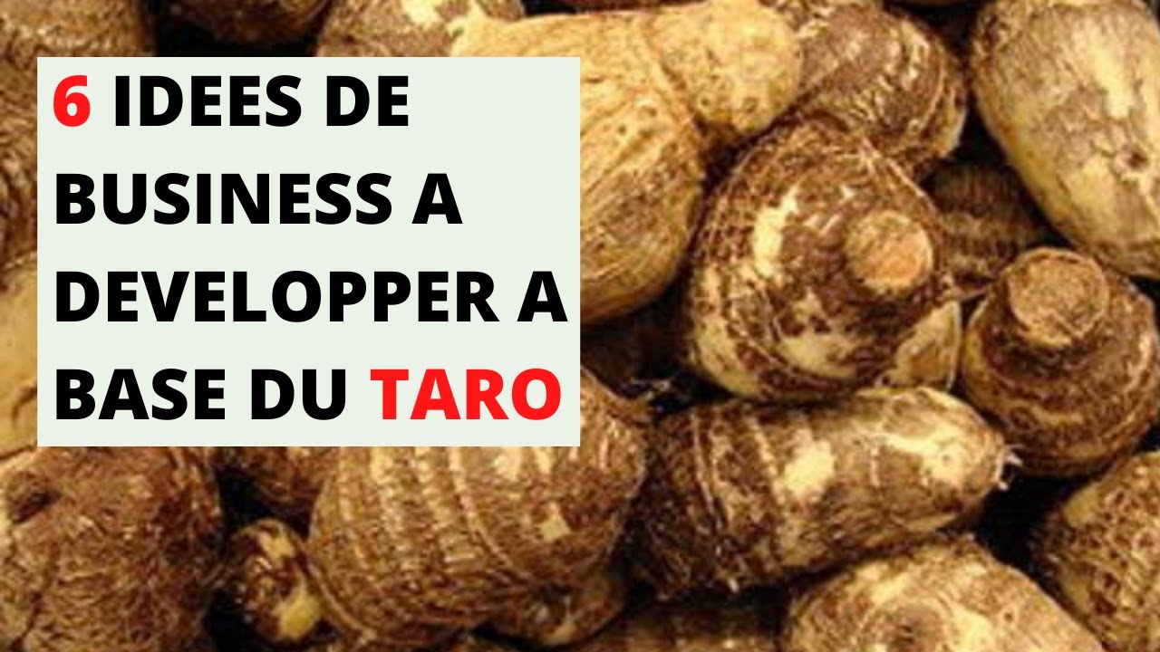 6 IDEES DE BUSINESS à Développer à Base du TARO