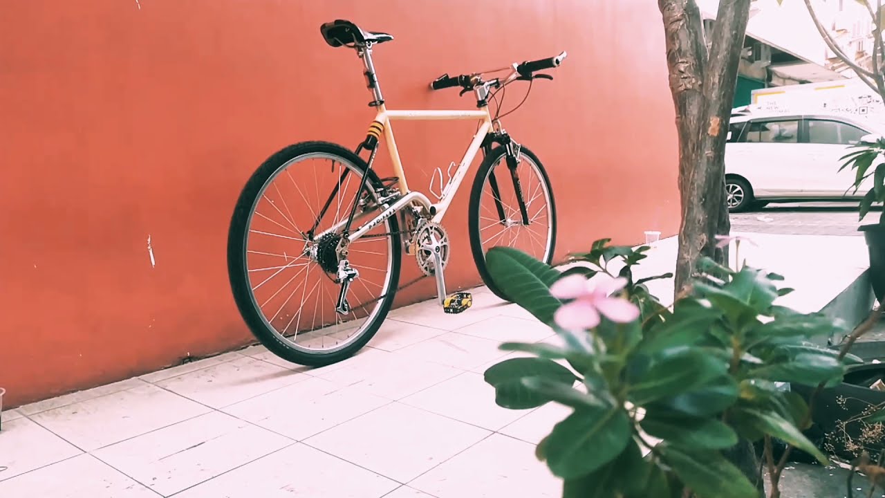 sepeda PRO-FLEX OFF-ROAD 550
