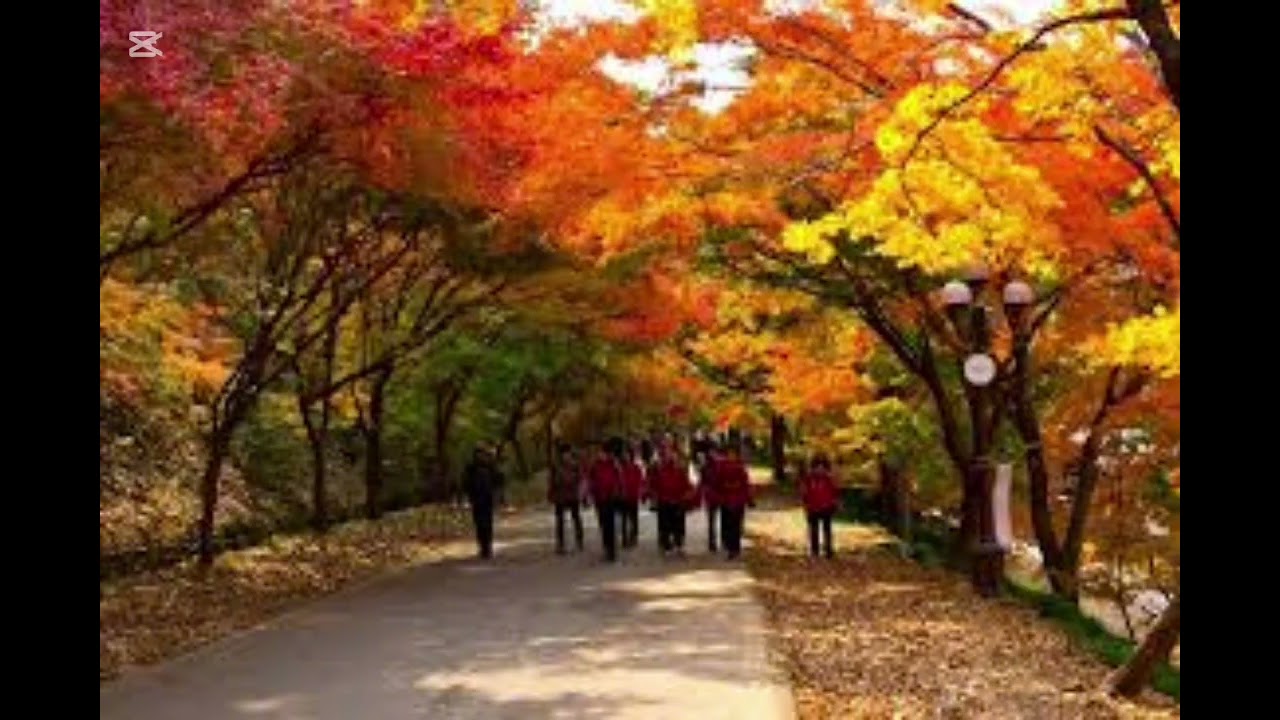 가을 옆자리| 청사