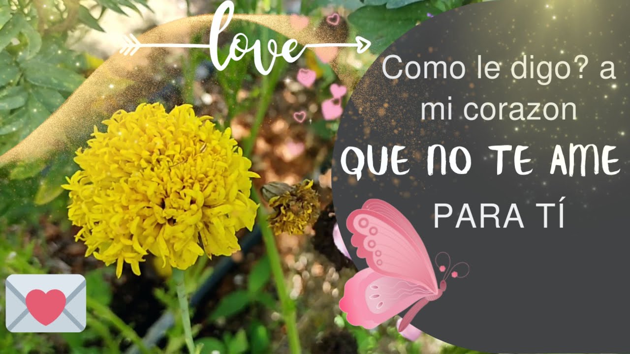 AMOR No puedo olvidarte Mi amor Dedicatorias Romanticas