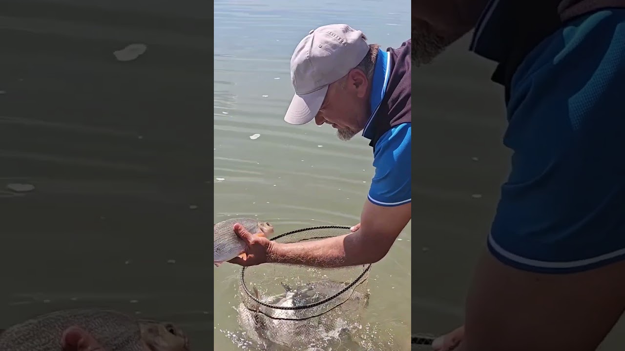Catch and Release? 