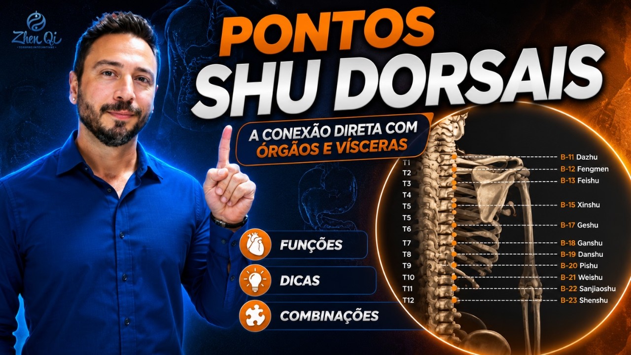 Pontos Shu Dorsais: O que são os Pontos Shu Dorsais, como punturar e dicas de localização.
