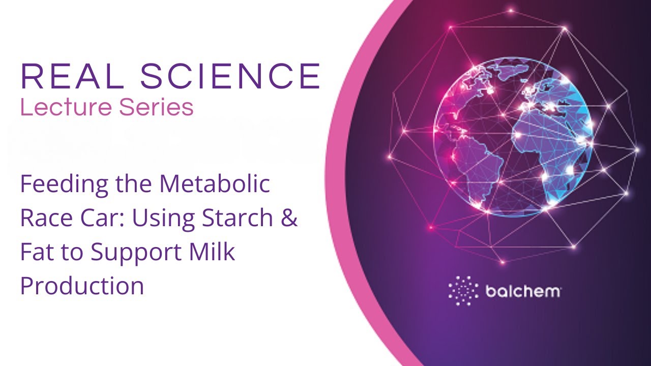 Feeding the Metabolic Race Car: Using Starch & Fat to Support Milk Production with Dr. Paul Kononoff