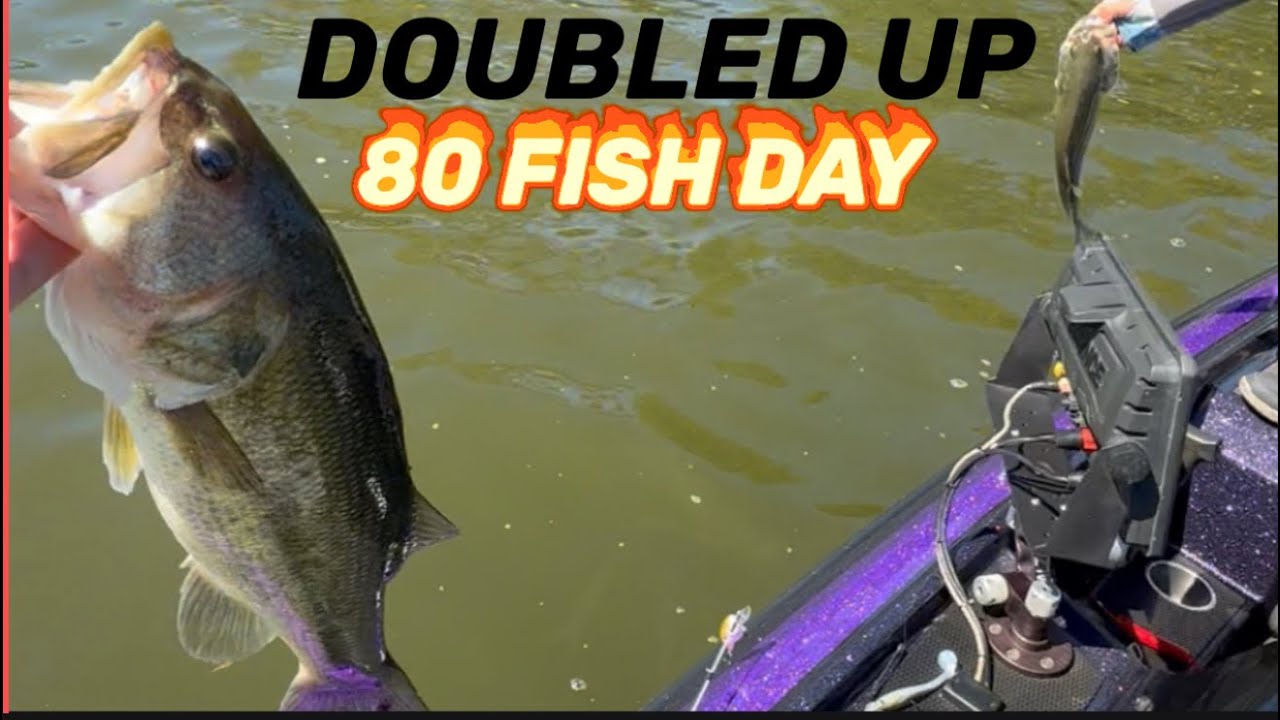  A SLOW MORNING ON PICKWICK. WE LEAVE GO TO WILSON LAKE AND CRUSH IT!!