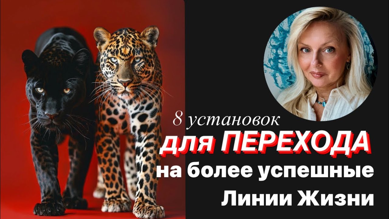 8 установок, для перехода на более Успешные Линии Жизни