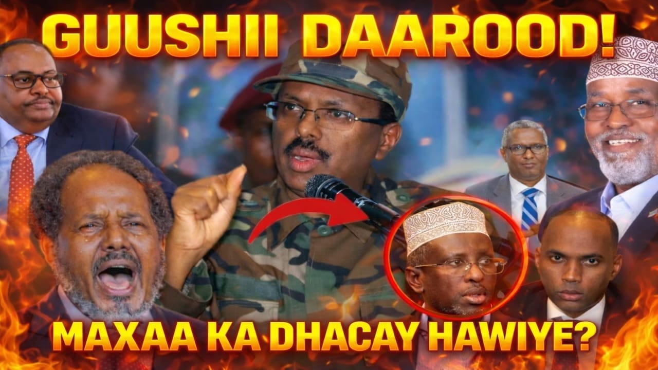 #degdeg:-BEESHA DAAROOD OO KA GULEYSATAY XASAN SHEEKH.