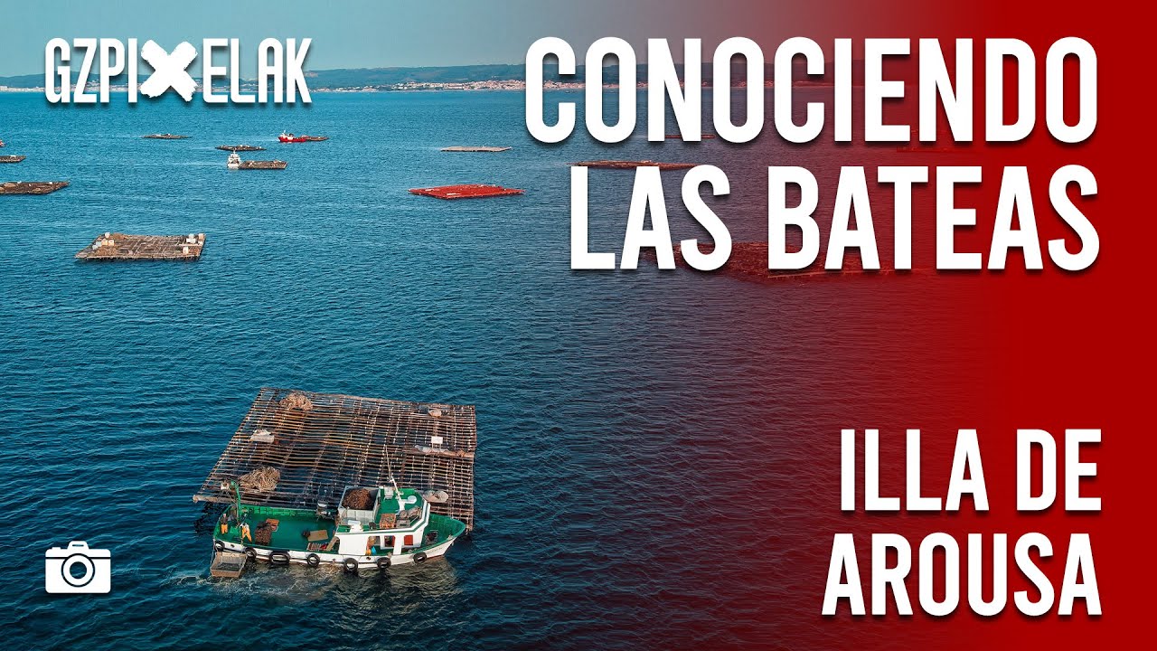 El Secreto del Mejor Mejill&oacute;n Gallego 🦪 | Las Bateas de Arousa