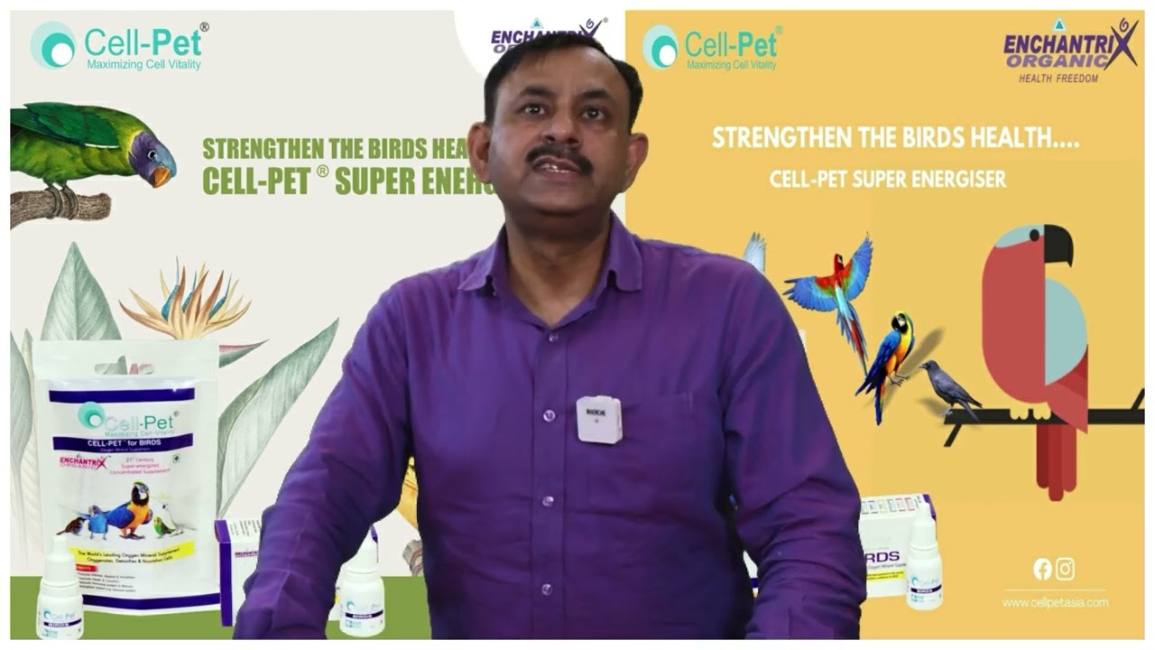Benefit of Cell-Pet &reg; Birds - DR. NAGENDRA YADAV