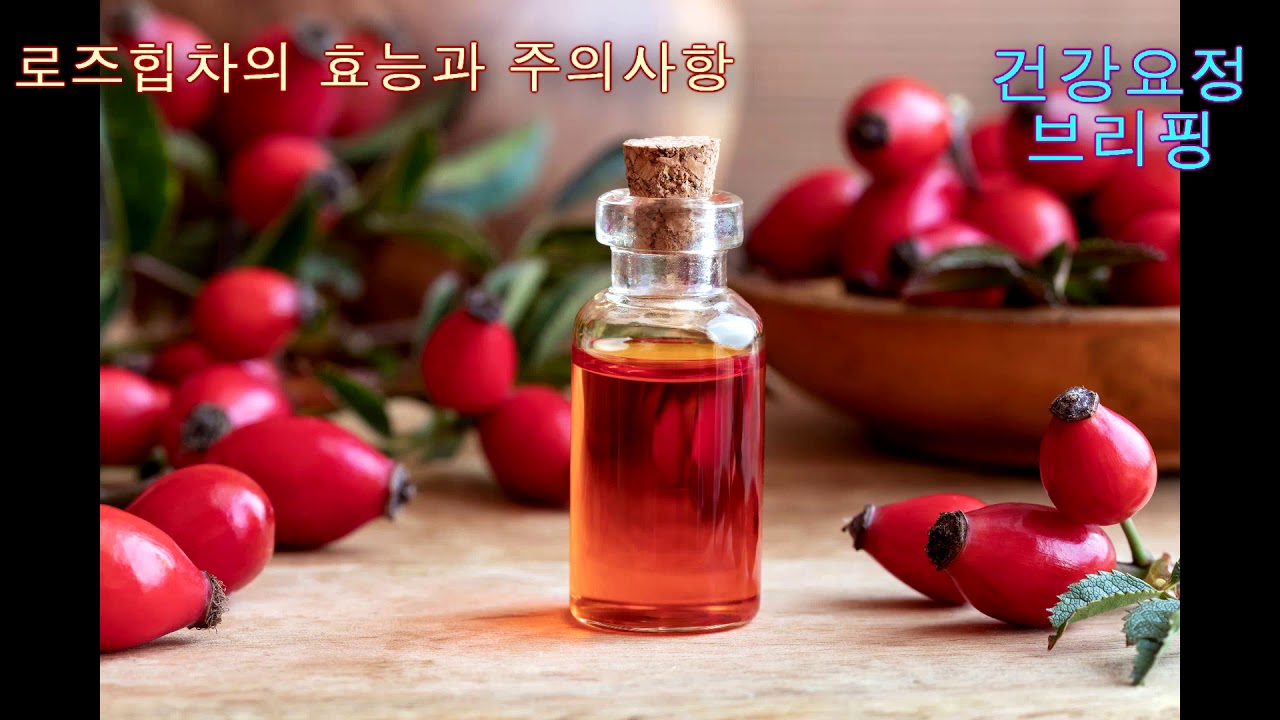 [건강요정 브리핑] 로즈힙차의 효능에 대한 연구 소개
