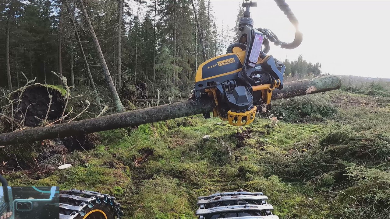 Pieni tuulenkaato savotta vielä oli ennen 200 tunnin koneen huoltoa. Ponsse Scorpion K H7 AC FC