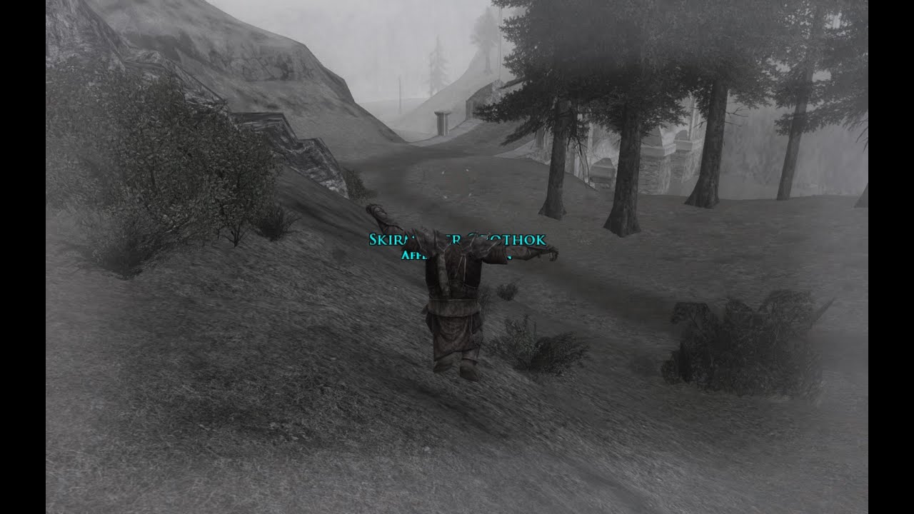 Echoes of Angmar PvMp 6v6 showcase AMW vs NA all stars