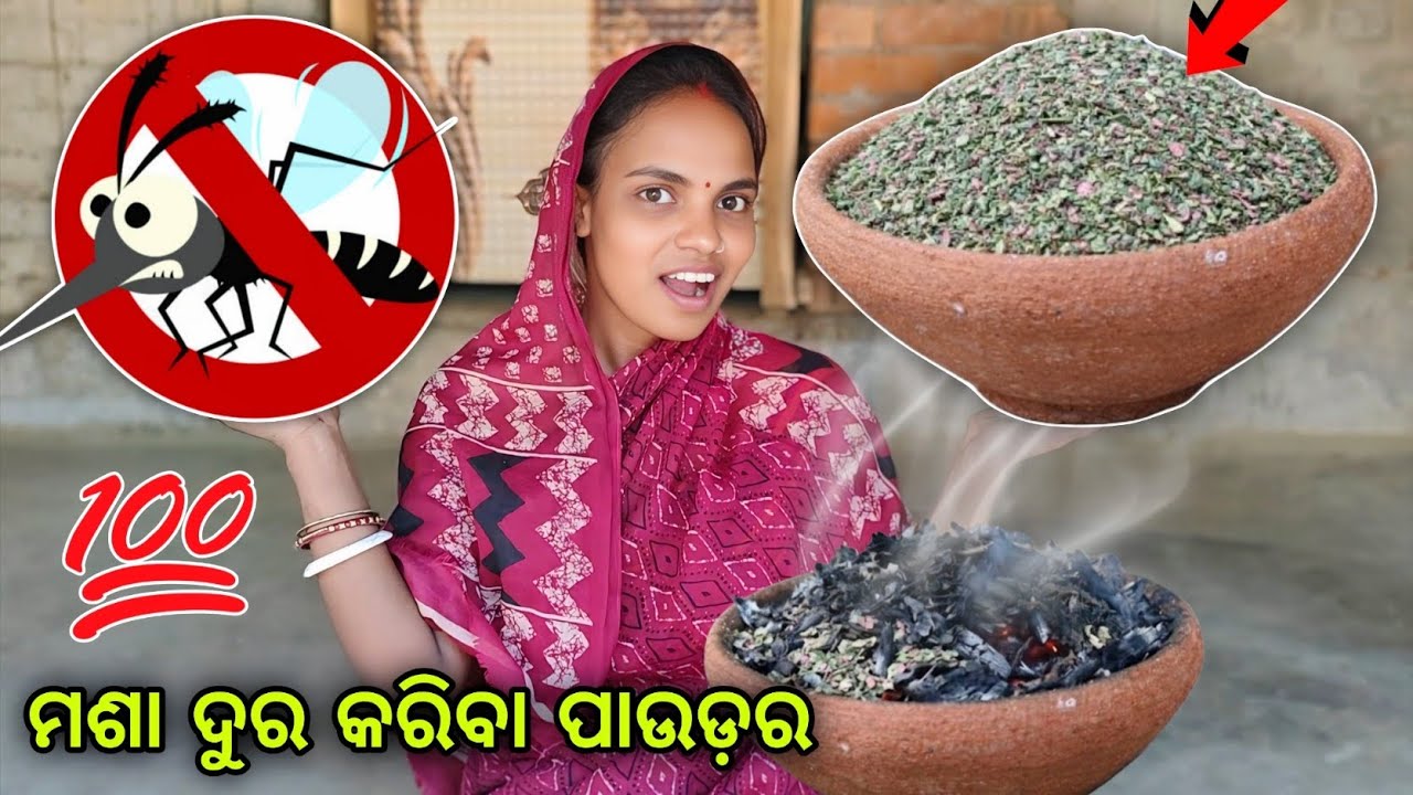 ଘରେ ବନାନ୍ତୁ ଏମିତି ମ୍ୟାଜିକ୍ ପାଉଡ଼ର ମଶା ଦୁର ହେବ 2 ମିନିଟ୍ ରେ😱