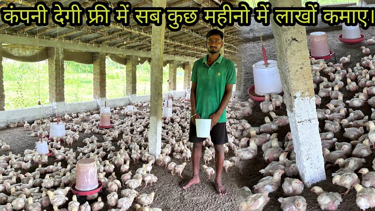 BA करने के बाद थे बेरोजगार आज महीना का लाखों कमा रहे हैं|युवा ने अपने खेत मे बनाया Desi poultry form