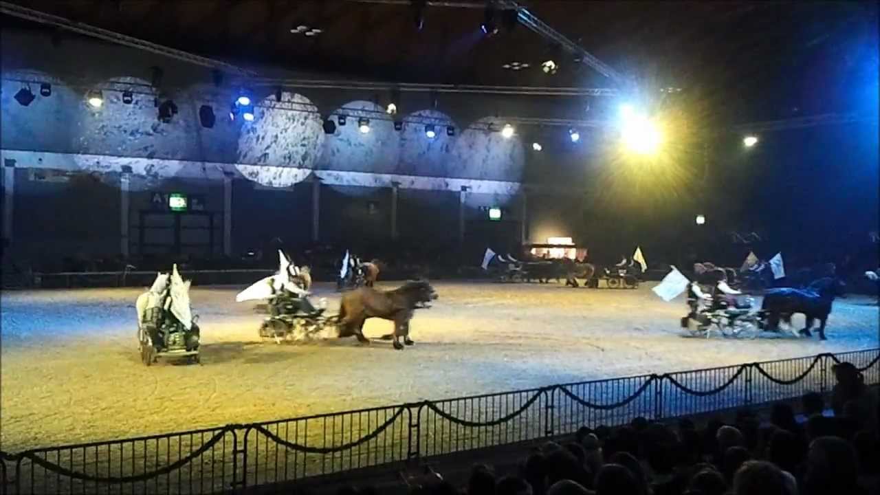 Pferd Bodensee Quadrille Fr. 10.02.2012