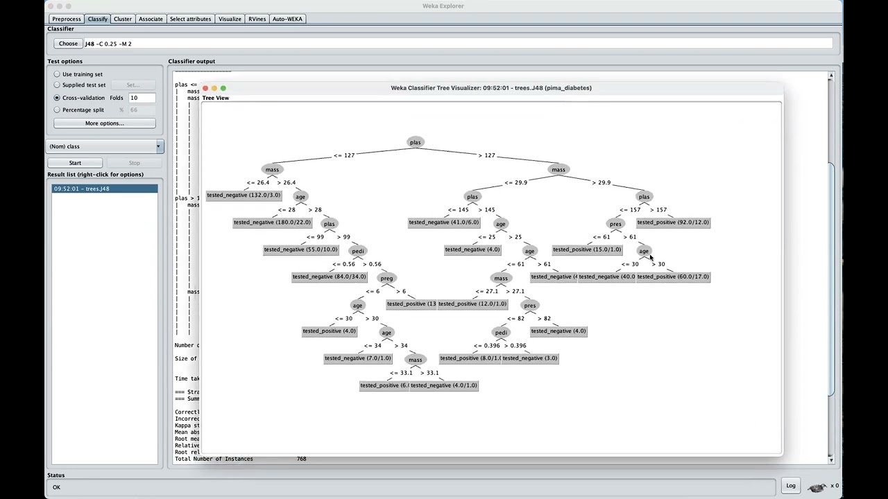 How to run Decision Trees in WEKA