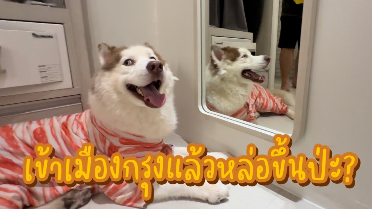 กูหล่อบ่แบงค์! เข้ากรุงเทพมา1ชั่วโมงเริ่มพูดภาษาอีสานไม่ถนัดละ ฮ่าๆ