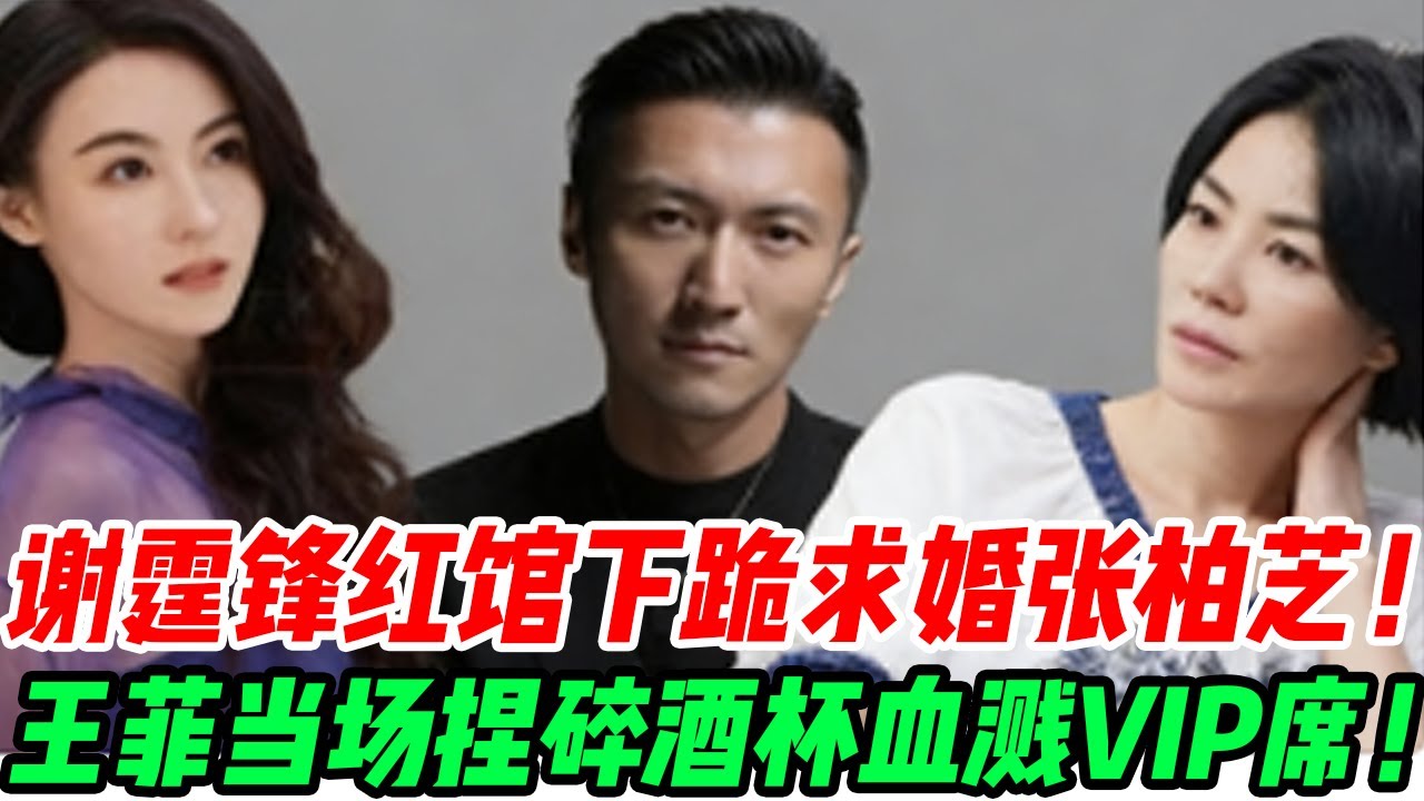 谢霆锋红馆下跪求婚张柏芝！王菲当场捏碎酒杯血溅VIP席！15年三角虐恋终极血腥大曝光结局#張柏芝#謝霆鋒#謝賢#王菲#謝振軒#謝振南#小Q#Lucas