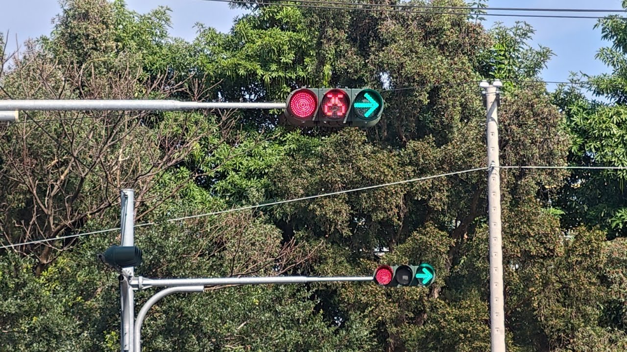 高雄市橋頭區成功南路與橋新一路 （可變圖形綠燈號誌）