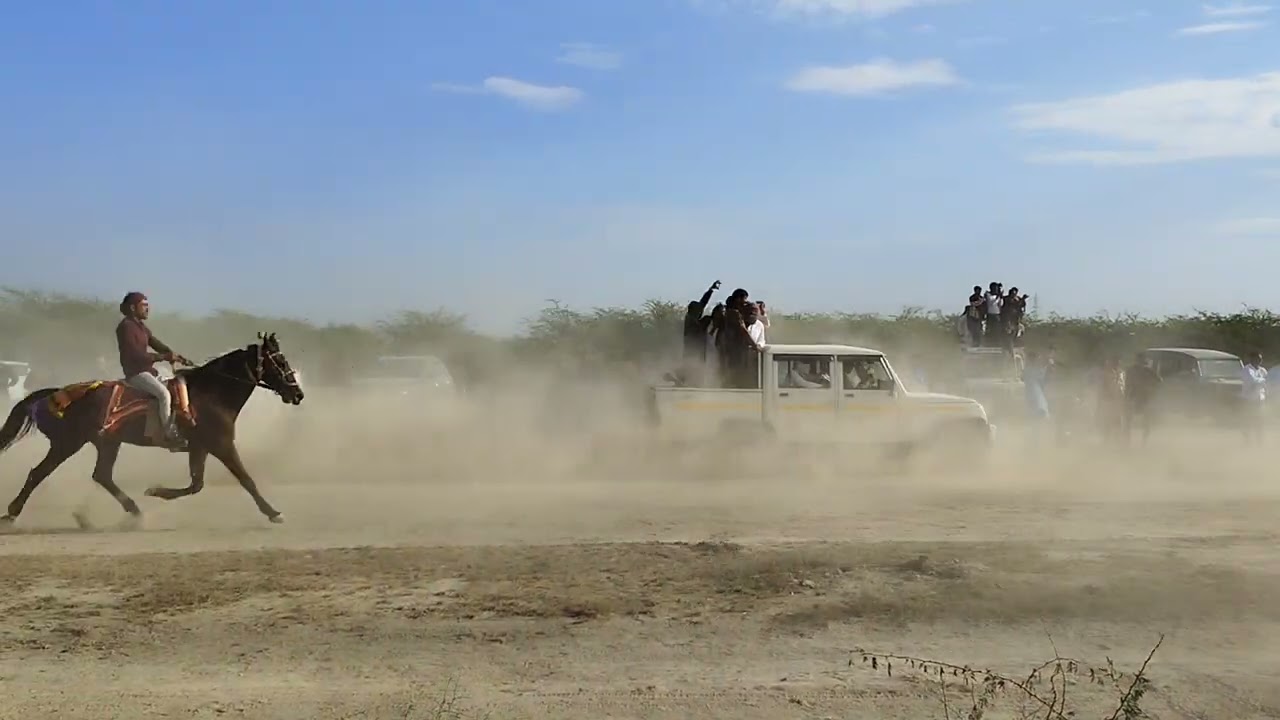 Horse Race Moti Reval Chal | Hodka | Winner🏆🎉🏆 | #hodka#nagraja #sindhihorse #kutchhorserace