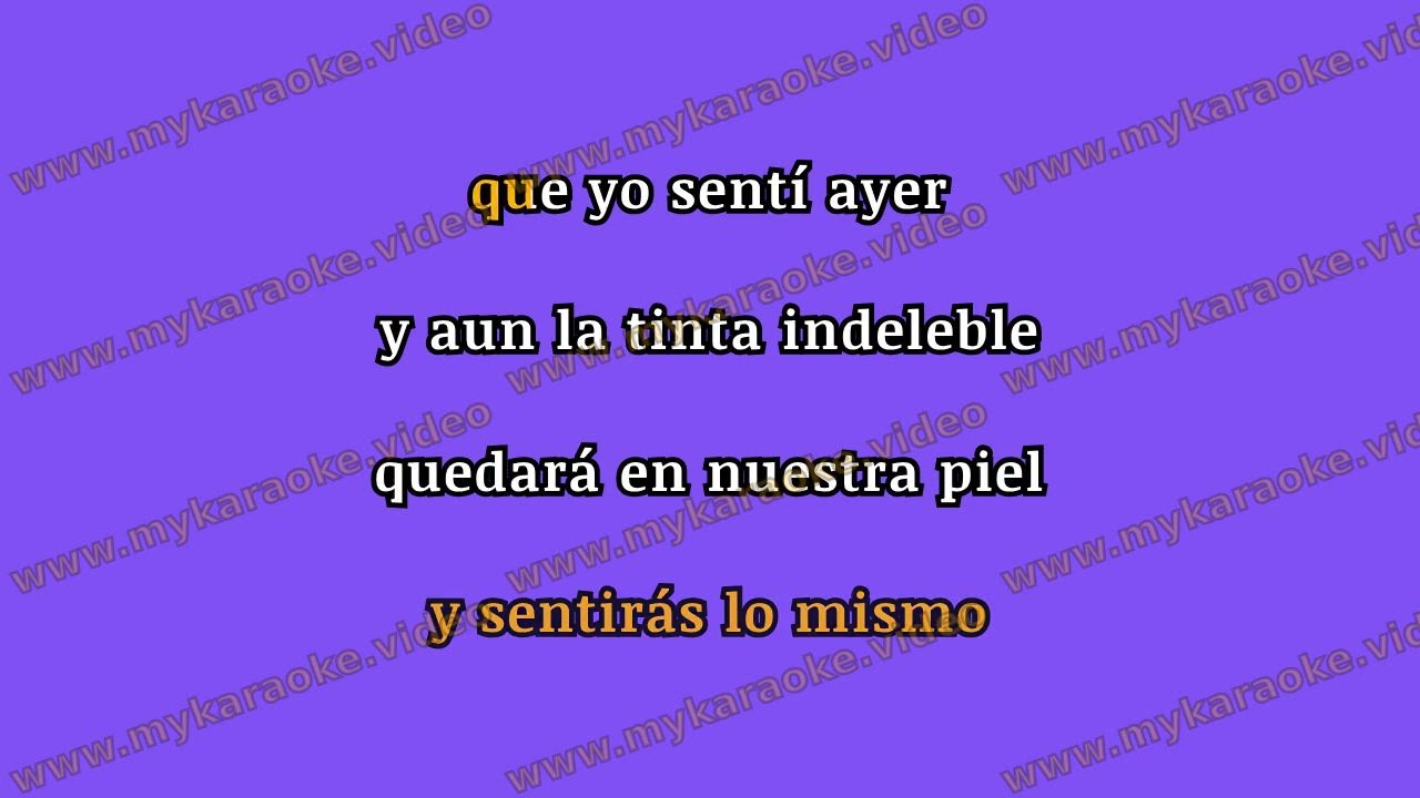 Indeleble -  Los mesoneros KARAOKE Instrumental para cantar con letra