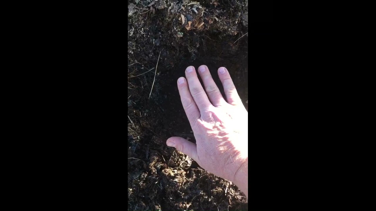 SHTF Compost update