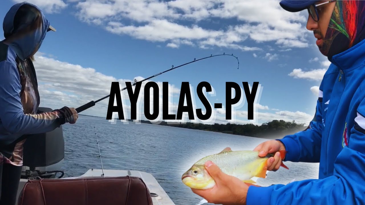 PESCA EN EL RÍO PARANA, AYOLAS/CORATEI PARAGUAY (2DA PARTE). BAGRE AMARILLO, MANDI'I,  BOGA.