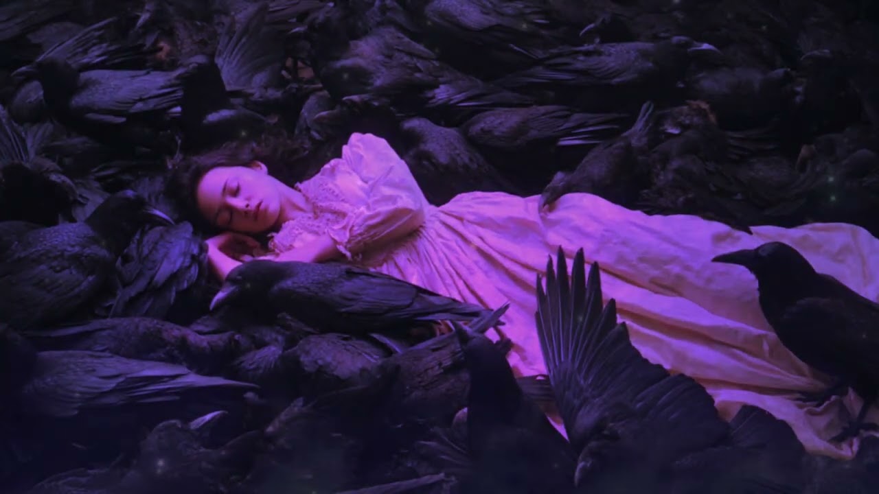 m:sss - magic lives in the wings of black birds 