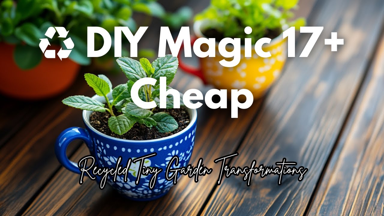 ♻️ DIY Magic: 17+ Cheap & Recycled Tiny Garden Transformations