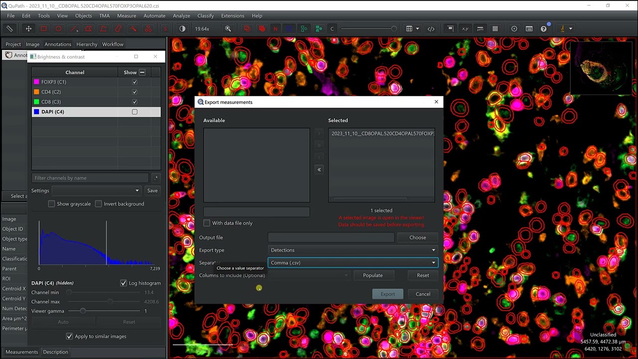 Export measurements from QuPath