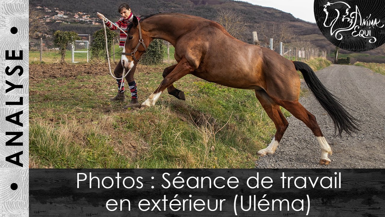 • ANALYSE • Photos : Séance de travail en extérieur (Uléma)