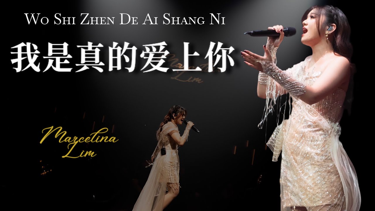#MLim 我是真的爱上你 Wo Shi Zhen De Ai Shang Ni by Marcelina Lim  