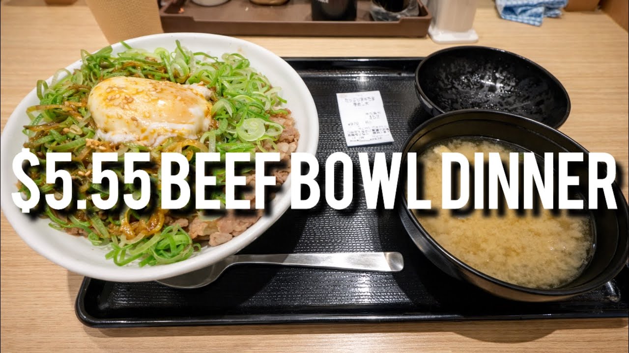 Dinner at Narita Airport  / Matsuya beef bowl / Life in Japan 🇯🇵