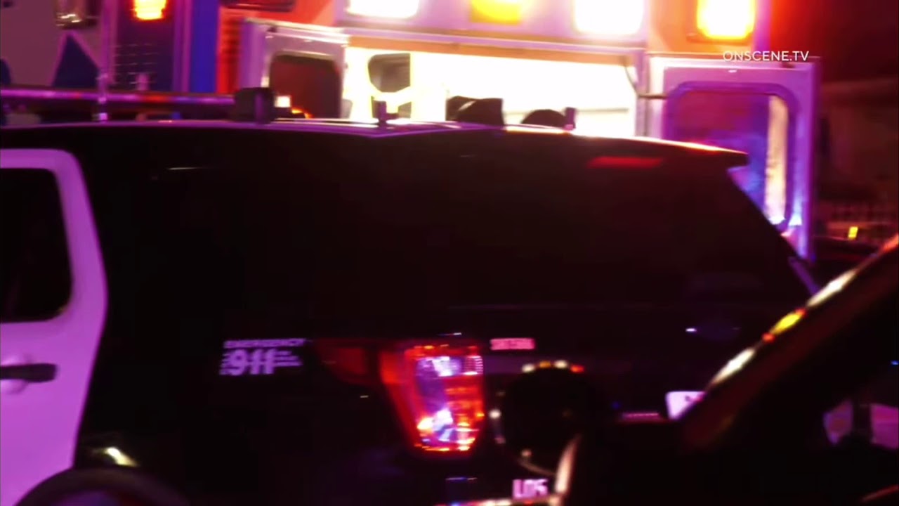 Video Footage Bird Martinez Stabbing