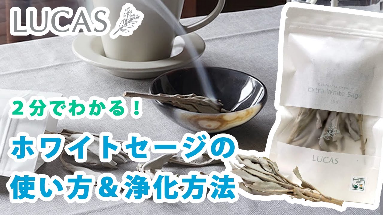 ホワイトセージの使い方＆浄化方法　 LUCAS ルカス【カリフォルニア産 オーガニック認証取得】