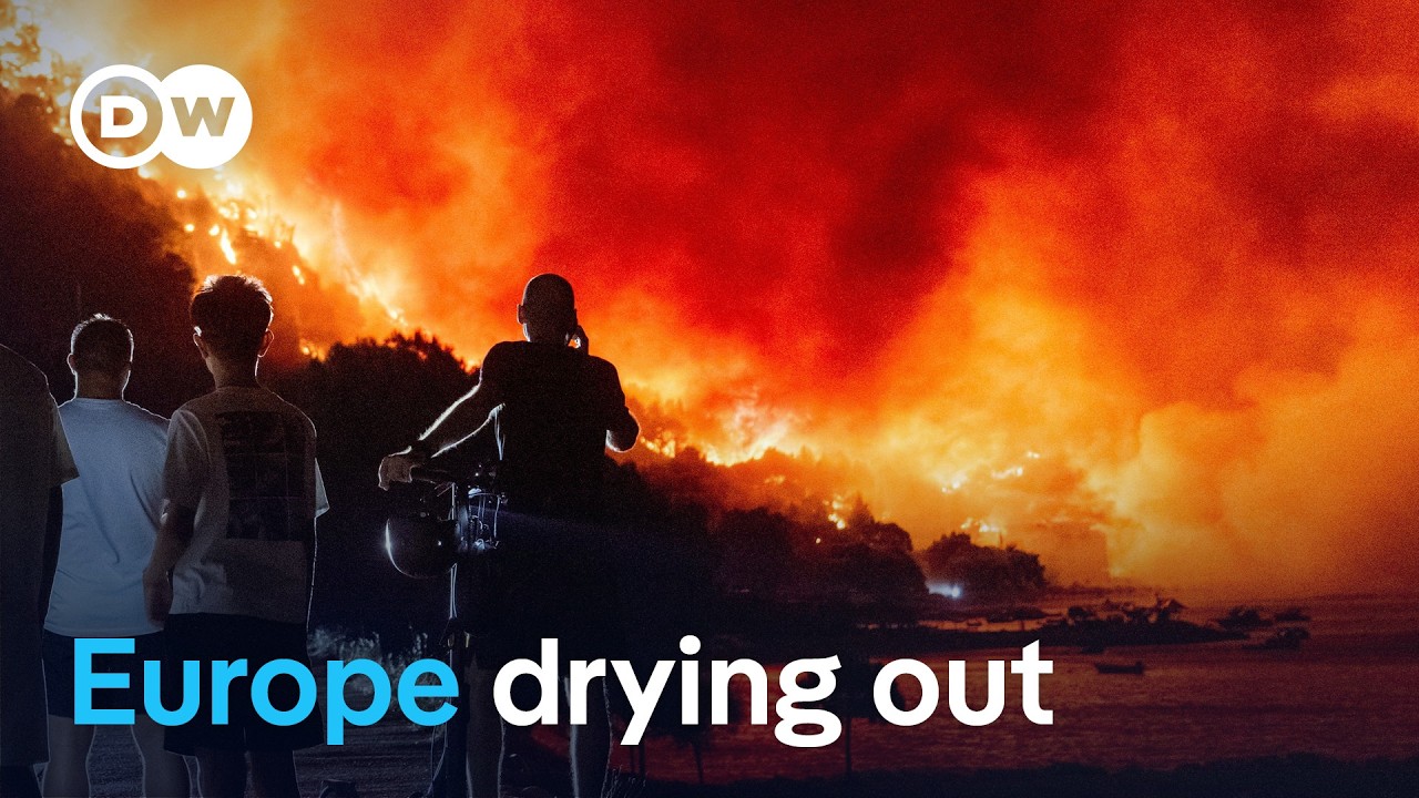 Why wildfires are spreading beyond Europe's traditional fire zones | DW News