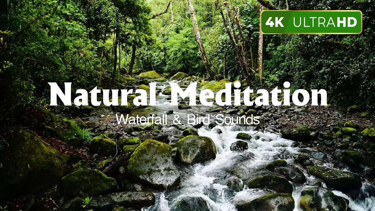 Nature Sounds of a Forest River for Relaxing Natural meditation music of a Waterfall & Bird Sounds