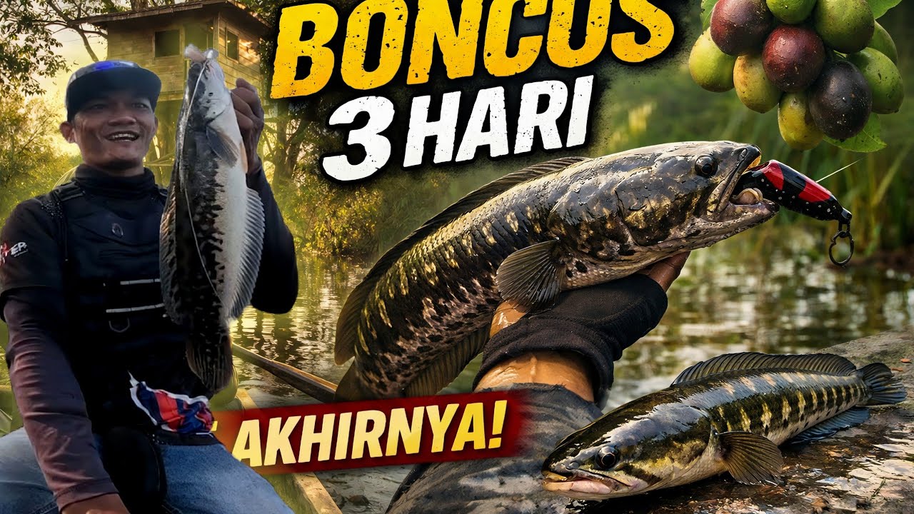 3-HARI PETUALANGAN MANCING TOMAN DIRAWA TERPENCIL