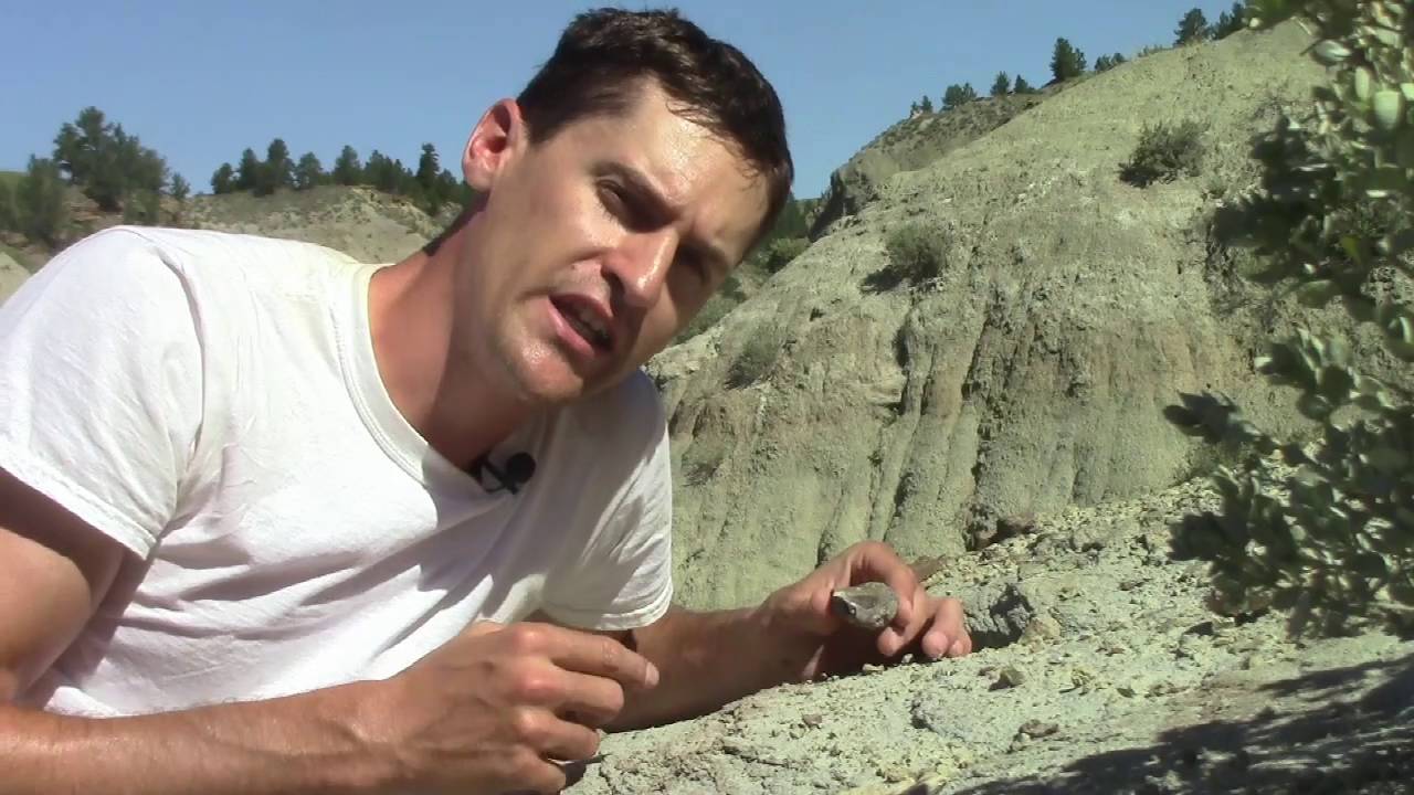 #32 How We Identify Fossils