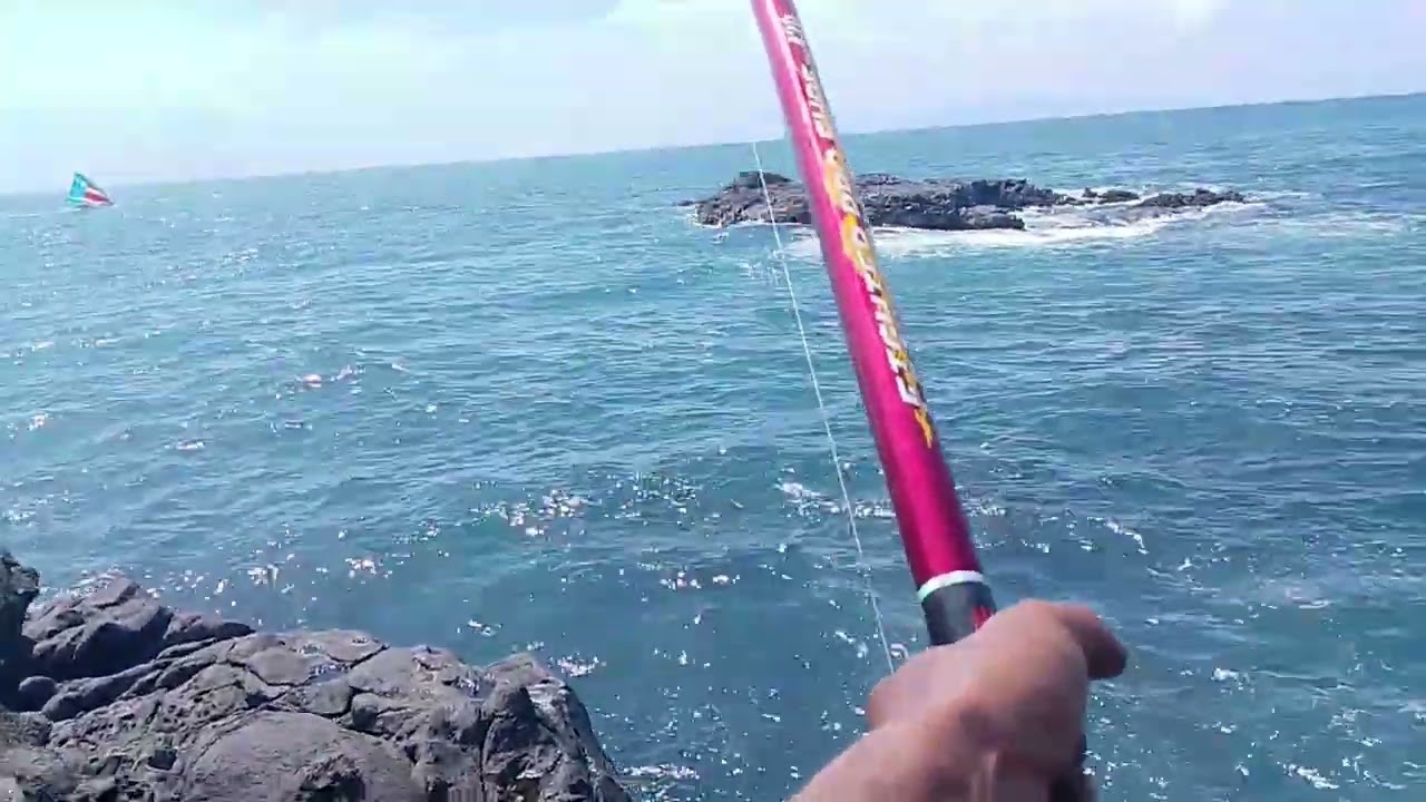 spot mancing lama gacor!! 2x lempar langsung strike babon|| mancing dasaran 