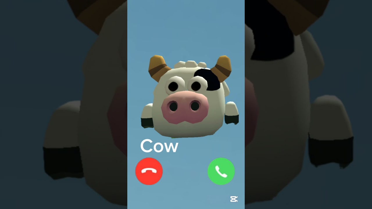 Oy Oy Oy Cow